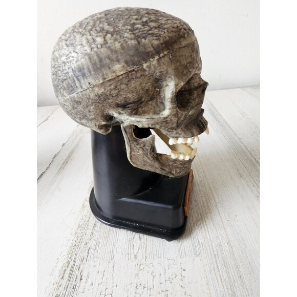 Vintage paper magic jabber‎ jaw AS IS skeleton Halloween decor statue prop - Picture 4 of 7